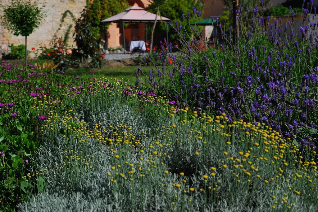 Agriturismo Coppi Rossi Villa Torrazza  Exterior photo